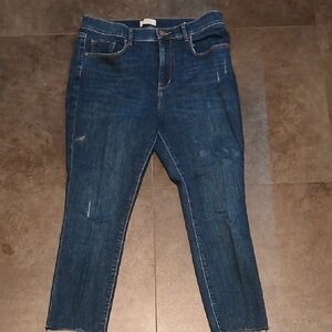 LOFT Dark Blue Modern Skinny High Rise Size 12 Petite Jeans